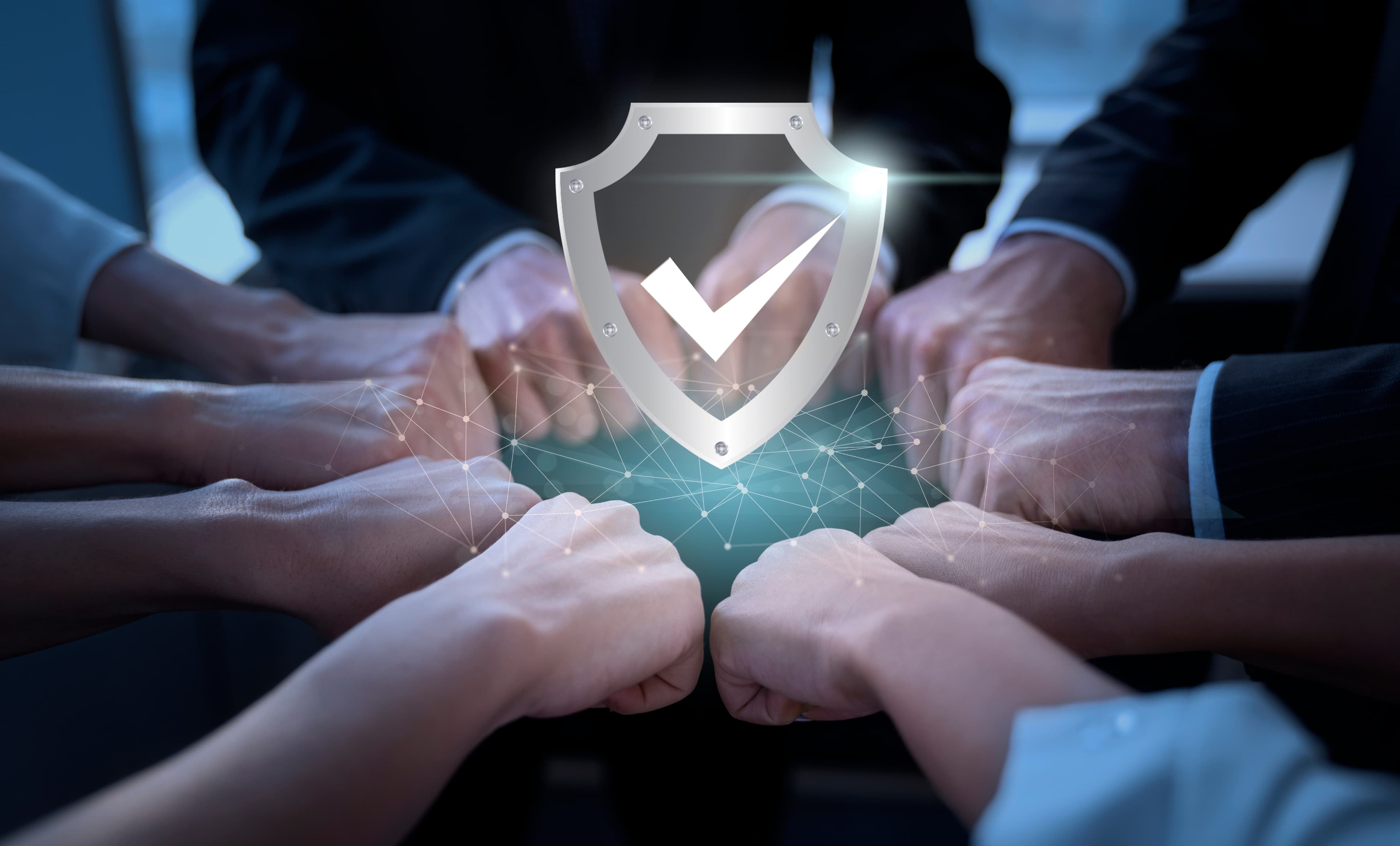 Fist Trust image